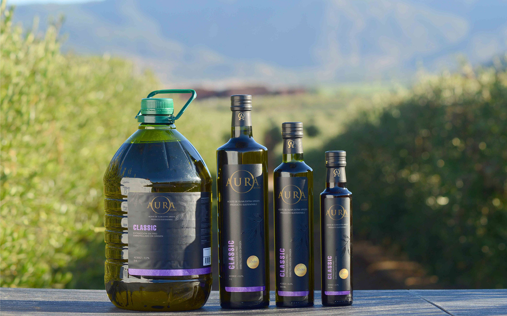 Formatos de aceite de oliva Verde Olivo: bidon 5L y botellas de 1L, 500ml y 250ml